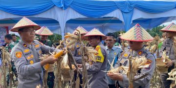 Polres Pelalawan Panen Jagung Pipil 12 Ton di Sialang Indah, Sinergi Wujudkan Swasembada Pangan Kuartal III 2026