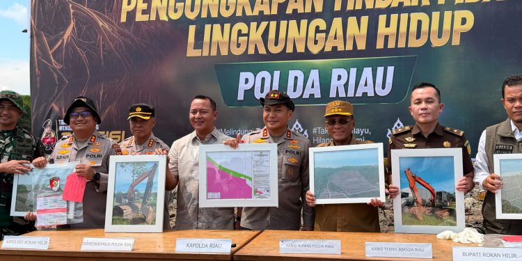 BKSDA Apresias Polda Riau Ungkap Perusakan Mangrove di Rohil
