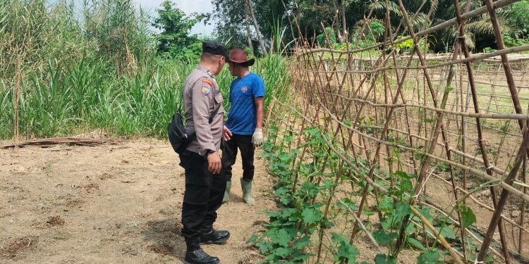 Lebih dari Sekadar Mengamankan, Personel Polres Inhu Gencar Dorong Ketahanan Pangan Lewat Pemanfaatan Lahan Pekarangan