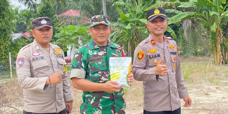 Polsek Benai Dukung Program Ketahanan Pangan, Laksanakan Penanaman Jagung Pipil di Desa Marsawa