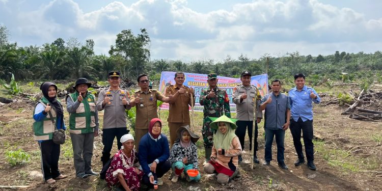 Dukung Ketahanan Pangan Nasional, Polsek Logas Tanah Darat Tanam Jagung Pipil untuk Sukseskan Program Asta Cita Presiden