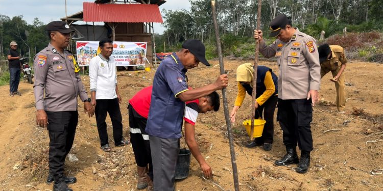 Polres Kuansing Dukung Ketahanan Pangan Nasional, Tanam Benih Jagung Pipil di Desa Pulau Kopuang Sentajo