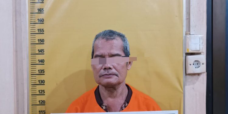 Polres Kampar Tangkap Pelaku KDRT, Diduga Karena Sakit Hati