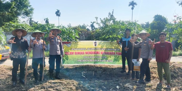 Dukung Ketahanan Pangan Nasional, Polsek Limapuluh Tanam Jagung Pipil di Lahan Produktif Bersama Kelompok Tani