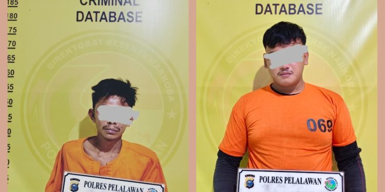 2 Pengedar Sabu di Kuala Semundam Bandar Petalangan Diringkus Satresnarkoba Polres Pelalawan, BB 2,83 Gram Diamankan