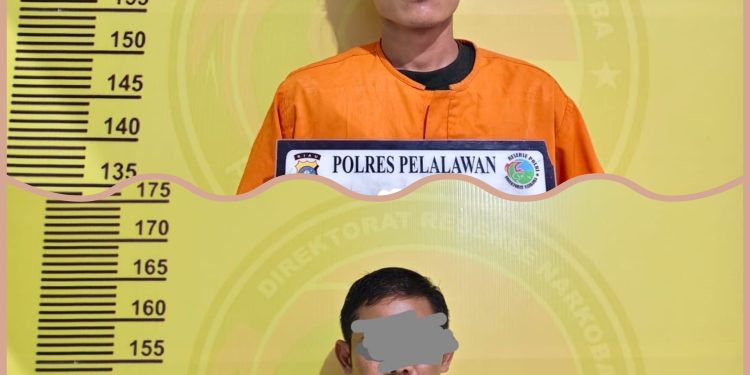 Sat Resnarkoba Polres Pelalawan Ringkus 2 Pengedar Sabu, Sita 45 Paket di Pangkalan Kerinci