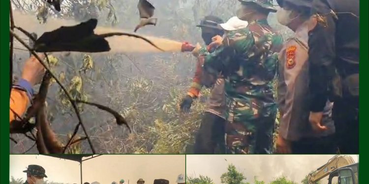 Tanggap Darurat Karhutla, Dandim 0313/KPR Bersama Forkopimda Pelalawan Tinjau Lokasi Kebakaran dan Pimpin Rapat Evaluasi di Kerumutan