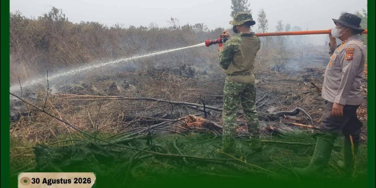 Pantang Surut Lawan Karhutla, Dandim 0313/KPR Terjun Langsung Padamkan Api di Rantau Baru