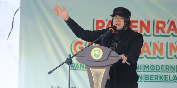 Smart Farming Binaan BI di Bunga Raya Tunjukkan Hasil, Produktivitas Padi Meningkat.