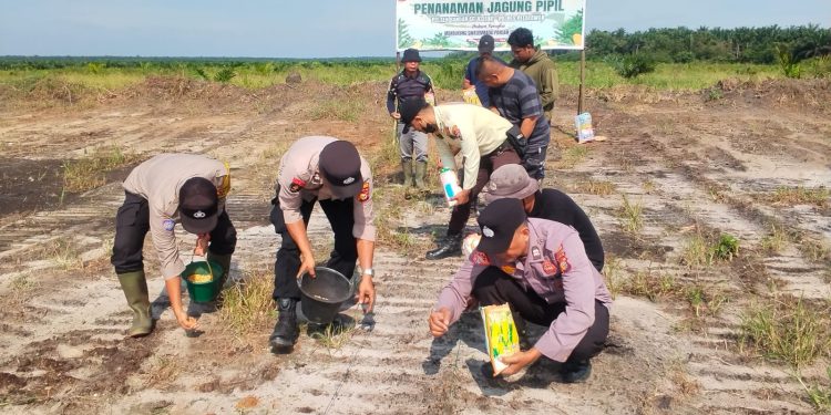 Polsek Bandar Sei Kijang Tanam Jagung Pipil 1,5 Ha di Lahan PT CDSL Dukung Ketahanan Pangan Nasional