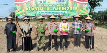Polsek Tualang Bersama Forkopimcam Tanam Jagung Kuartal III, di Ponpes Abu Huroiroh. Dukung Swasembada Pangan 2026