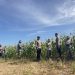 Polres Rokan Hulu Cek Tanaman Jagung 77 Hari, Perkuat Dukungan Ketahanan Pangan Nasional