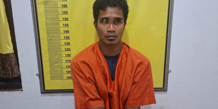Dikejar Sekitar 100 Meter, Pengedar Sabu di Batang Cenaku Tak Bisa Mengelak