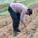 Panas Terik Tak Halangi Polisi dan Petani Tanam Jagung di Ponpes Abu Huroiroh, Dukung Swasembada Pangan