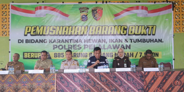 Bawang Merah sebanyak 7,5 Ton dimusnahkan di TPS oleh Polres Pelalawan dan Instansi Terkait
