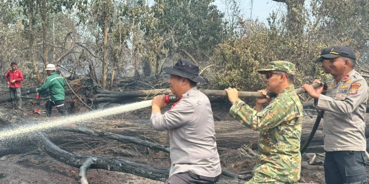 Kapolres Pelalawan Bersama Wakil Bupati Padamkan Karhutla di Teluk Binjai