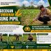 10 Hari Ditanam, Jagung Pipil di Ponpes Abu Huroiroh Tumbuh 15 Cm, Polsek Tualang Lakukan Pengecekan Wujud Ketahanan Pangan