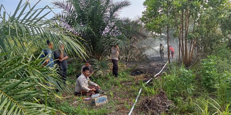 Gerak Cepat Padamkan Karhutla di Rimbo Panjang, Polsek Tambang Bersama TNI & Manggala Agni Kendalikan Api di Tengah Tantangan Angin