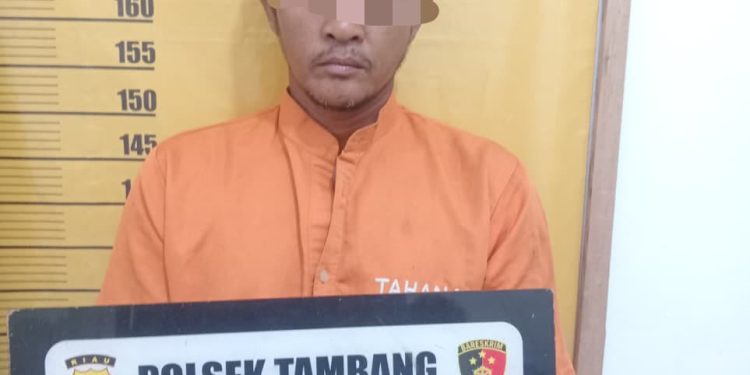 Polsek Tambang Tangkap Terduga Pelaku Pembakaran Lahan di Desa Tarai Bangun