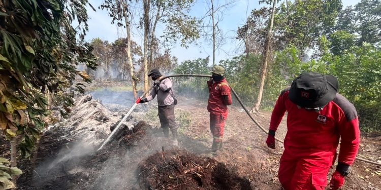Hadapi Karhutla Lahan Gambut 5 Hektar di Rimbo Panjang, Polres Kampar Kerahkan Tim Gabungan & Dukungan Helikopter