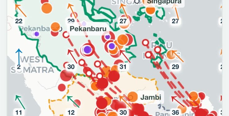 Polda Riau Intensifkan Penanganan Karhutla, 313 Hotspot Terdeteksi di Wilayah Riau