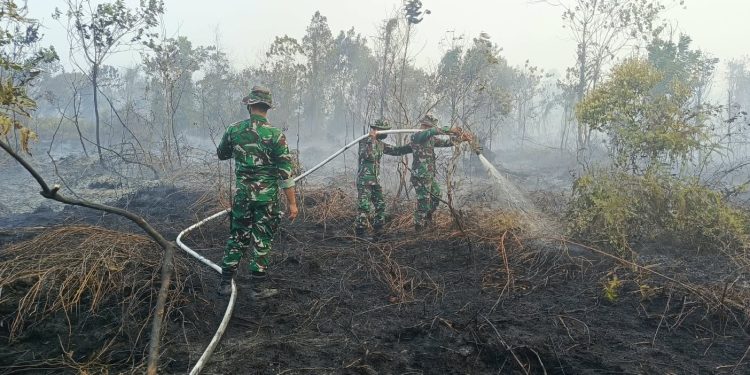 Kodam XIX/Tuanku Tambusai Kerahkan Pasukan Gabungan Padamkan Karhutla di Kampar