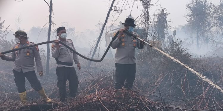 Kerahkan 123 Personel, Kapolres Kampar Pimpin Langsung Pemadaman & Pendinginan Karhutla di Rimbo Panjang