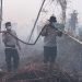 Kerahkan 123 Personel, Kapolres Kampar Pimpin Langsung Pemadaman & Pendinginan Karhutla di Rimbo Panjang