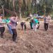POLISI TURUN KE LAHAN! 4 HEKTARE JAGUNG DITANAM, KETAHANAN PANGAN DI KANDIS DIGENJOT