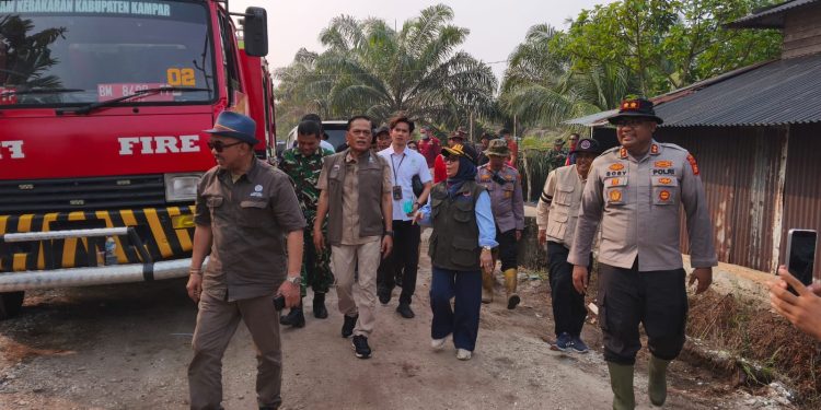Tinjau Langsung Lokasi Karhutla Rimbo Panjang, Staf Khusus Menteri Kehutanan Apresiasi Sinergi Tim Gabungan & Serahkan Bantuan Sosial