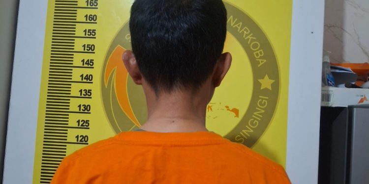 Tim Elang Kuantan Ungkap Peredaran Ganja, Seorang Perempuan Diamankan dengan berat kotor 64,85 Gram Barang Bukti