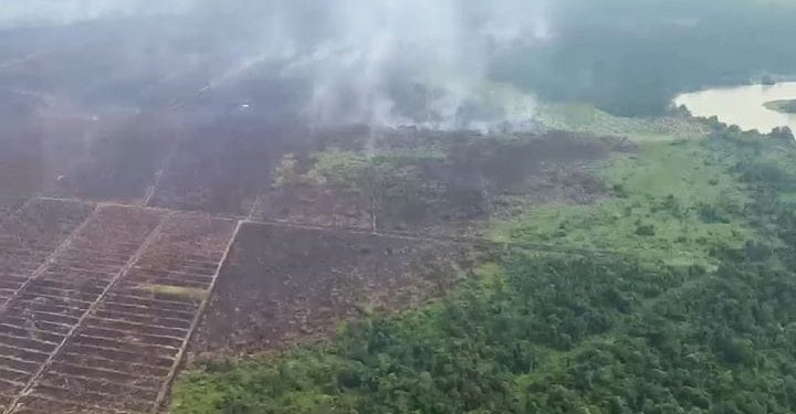 Kapolda Riau Patroli Udara, Pastikan Karhutla Pelalawan Ditangani hingga Tuntas