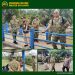 Pastikan Ketersediaan Sumber Air Mitigasi Karhutla, Tim Penyuluh Mabes TNI Tinjau Embung di Rokan IV Koto