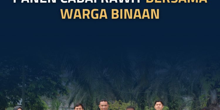 Lapas Terbuka Rumbai Panen Cabai Rawit Bersama Warga Binaan