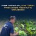 Panen Sawi Bersama, Lapas Terbuka Rumbai Dorong Produktivitas Warga Binaan