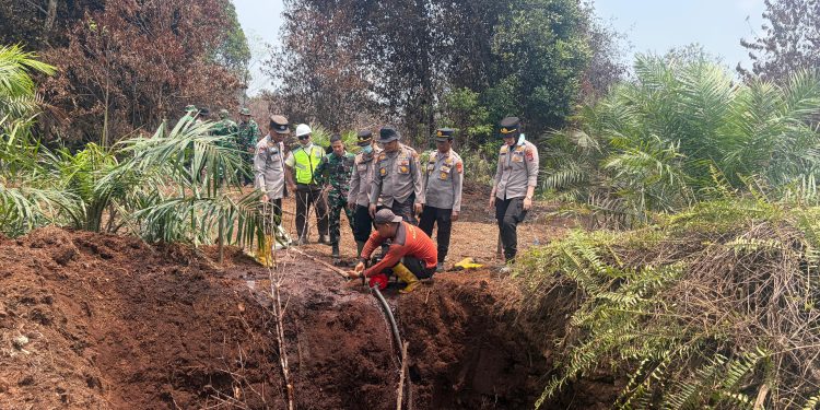 Karhutla Dekat Taman Nasional Zamrud Riau Terkendali, Tim Gabungan Akhiri Operasi Pemadaman