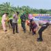 Dukung Swasembada Pangan 2026, Polres Kuansing Bersama Kelompok Tani Tanam Jagung di Lahan 1 Hektare