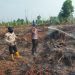 PAGI HINGGA PETANG, TIM POLRES PELALAWAN DAN GABUNGAN PADAMKAN KARHUTLA DI KECAMATAN KERUMUTAN