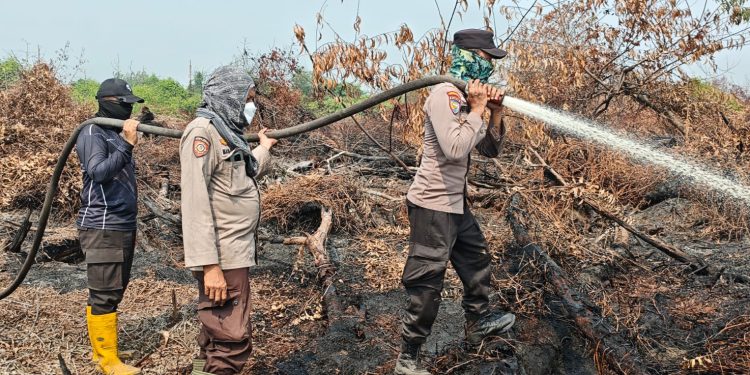 WAKA POLRES PELALAWAN PIMPIN LANGSUNG, PADAMKAN KARHUTLA DI DRSA AUR KUNING KERUMUTAN