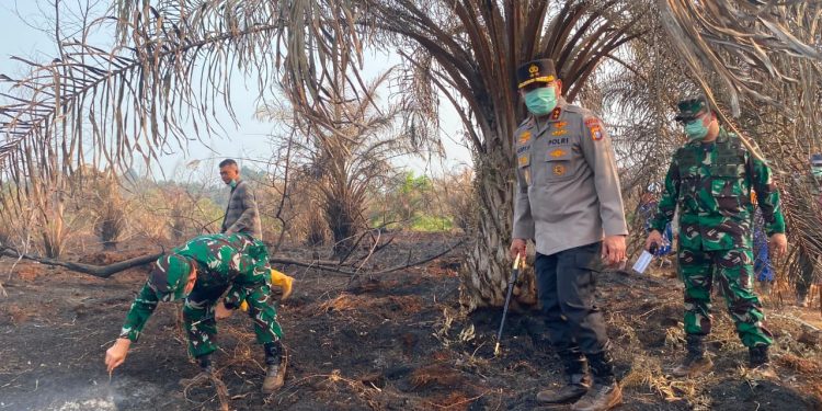 Kapolda-Pangdam Cek Karhutla Siak, Empat Wilayah Riau Jadi Atensi