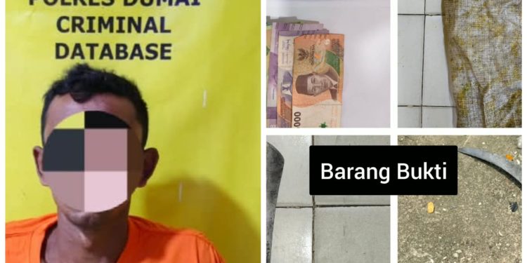 Polsek Bukit Kapur Ungkap Kasus Pencurian Buah Sawit, Seorang Pria Diamankan
