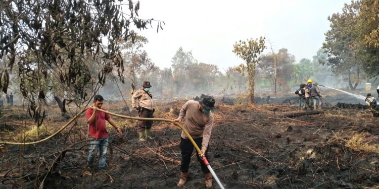Kapolsek Tualang Turun Langsung Pendinginan Karhutla di Kampung Tualang, Gandeng Seluruh Stakeholder