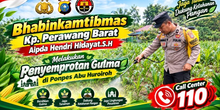 Terik Matahari Tak Jadi Halangan, Bhabinkamtibmas Gaspol Semprot Gulma Jagung Ketahanan Pangan
