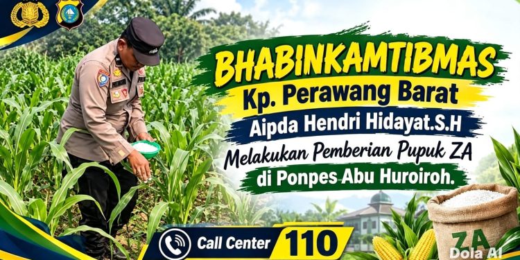 Jaga Kesuburan Ketapang Jagung, Bhabinkamtibmas Berikan Pupuk Di Lahan Ponpes Abu Huroiroh