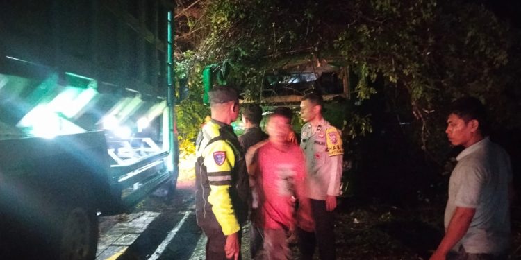 Polsek Singingi Hilir Tindak Lanjuti Laporan 110, Pohon Tumbang Ganggu Arus Lalu Lintas