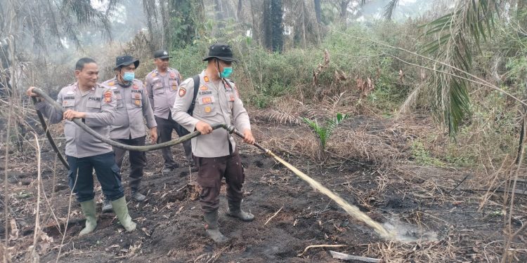 POLSEK PANGKALAN KERINCI PADAMKAN KARHUTLA 1/4 HEKTAR DI KORIDOR RAPP KM 8