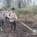 POLSEK PANGKALAN KERINCI PADAMKAN KARHUTLA 1/4 HEKTAR DI KORIDOR RAPP KM 8