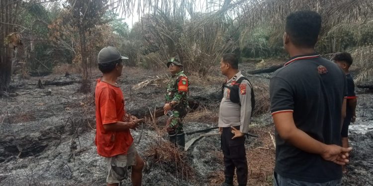 HOTSPOT DLK TERDETEKSI, POLSEK PANGKALAN KURAS GERAK CEPAT VERIFIKASI KARHUTLA 2500 M2 DI KAWASAN TNTN