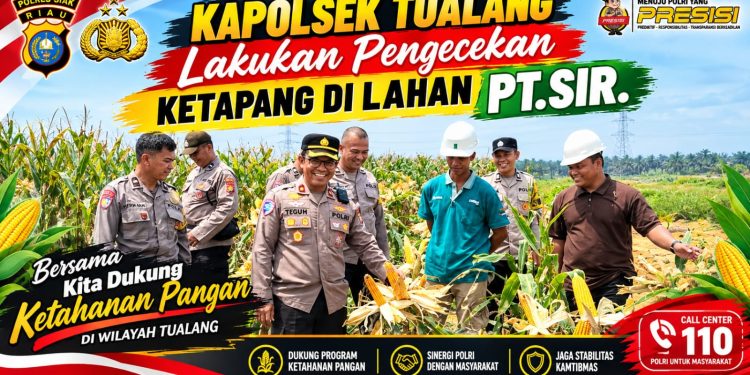 Jelang Panen, Kapolsek Tualang Cek Kesiapan Ketahanan Pangan Jagung di Lahan PT SIR