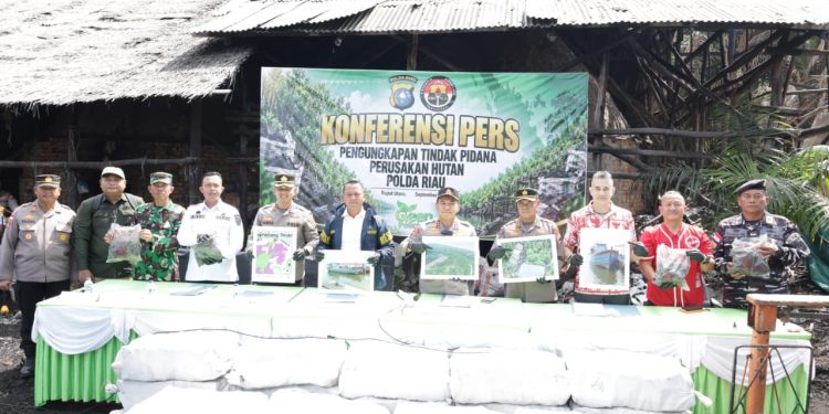 Dapur Arang Mangrove Dibongkar, Polda Riau Tangkap Dua Tersangka di Rupat